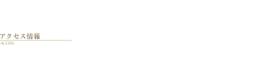 アクセス情報 Access