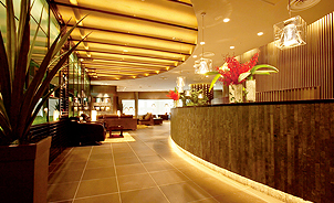 Beauty Avenue Socie