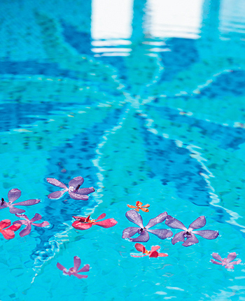 横浜ベイホテル東急のプールに浮かぶ花のイメージ