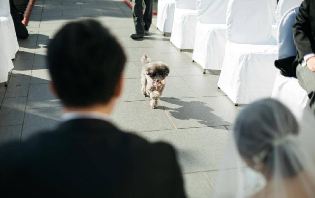 CEREMONY